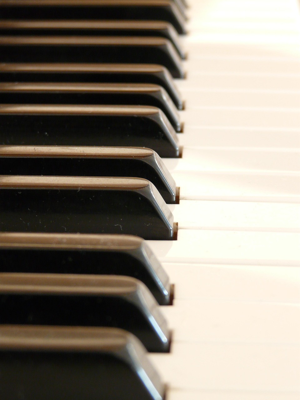 piano, piano keys, white, black, music, volume, sound, play piano, piano keyboard